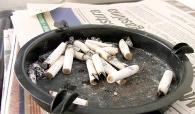 太平洋锦鲤3号终身重疾保障，护航一生安康