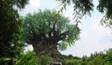 MSH重磅发布！震撼来袭！