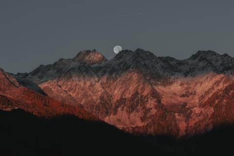 盆栽微观世界，实时呈现