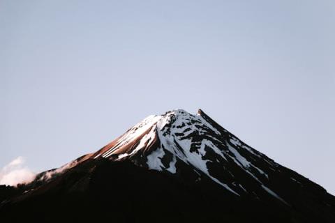 室内水生植物的重点介绍