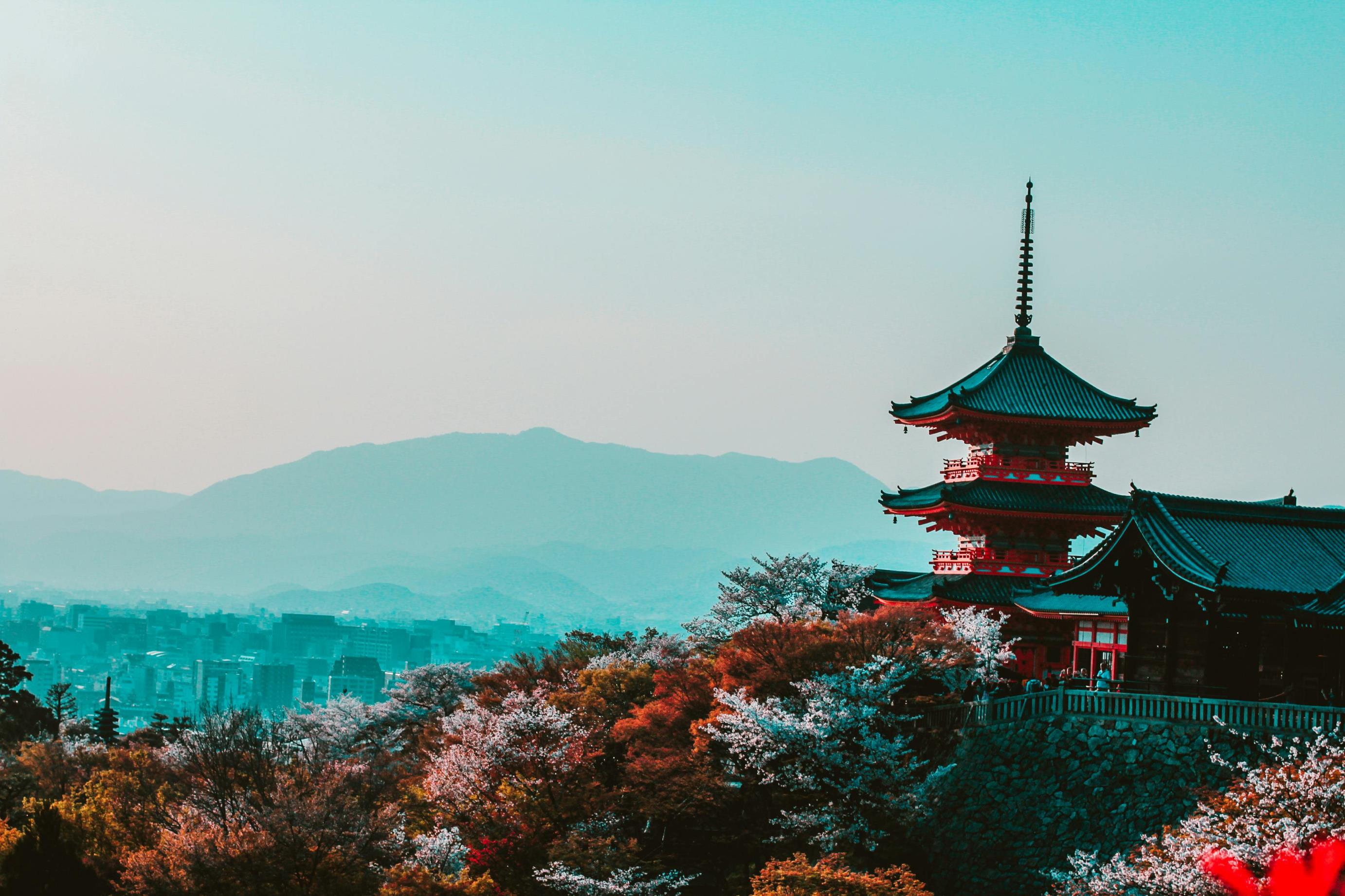 牵牛花奇观：神奇之花揭秘