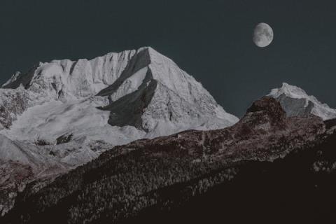 奇观再现：鸡蛋树的震撼美景