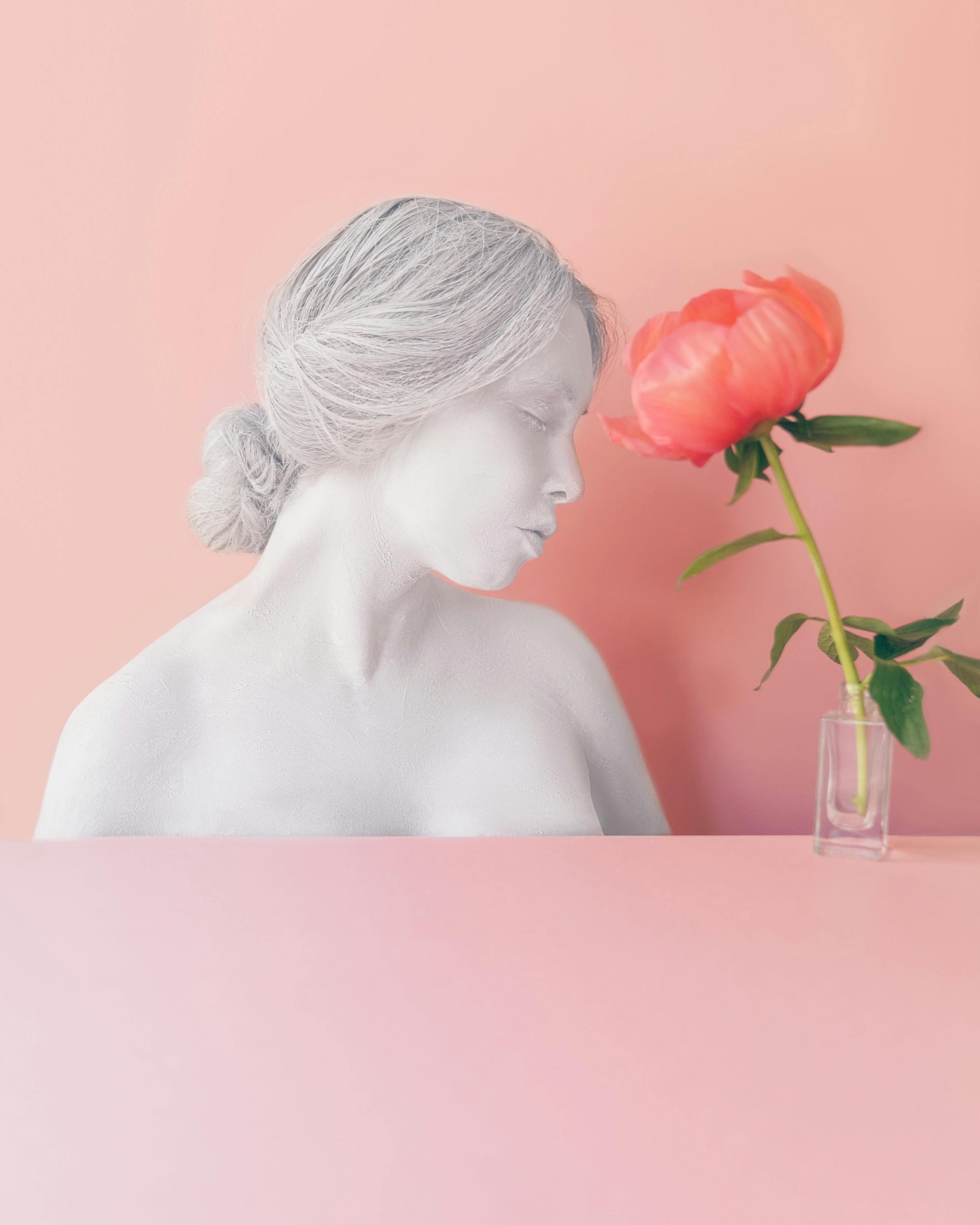 花海四杰：梅兰竹菊