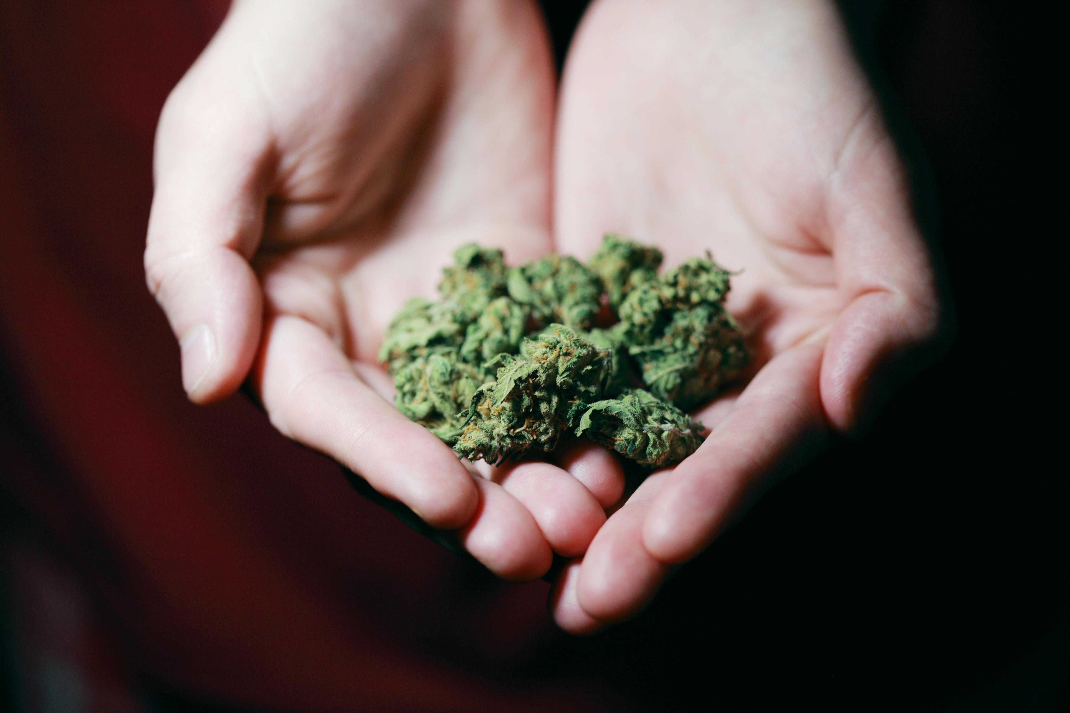 快讯：荷花绽放，淤泥中显高洁本色